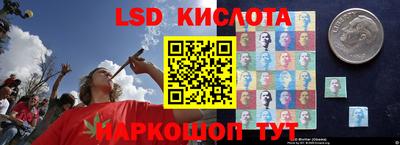 шишки Кандалакша