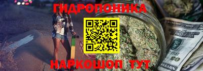 прущие грибы Камышлов