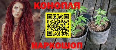 прущие грибы Камышлов