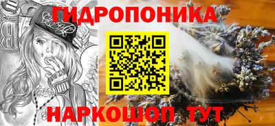 прущие грибы Камышлов