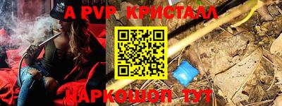 шишки Кандалакша