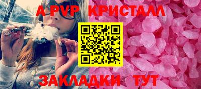 шишки Кандалакша