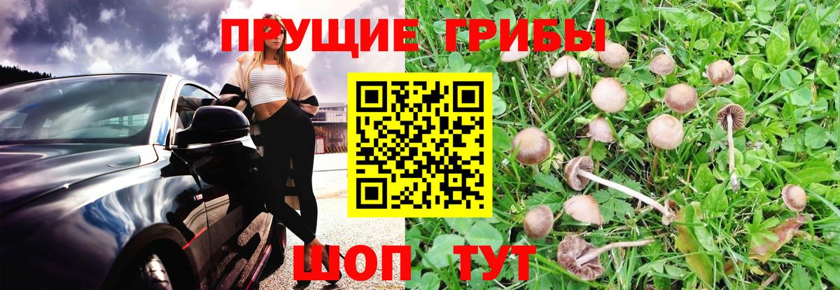 Галлюциногенные грибы мухоморы Изобильный